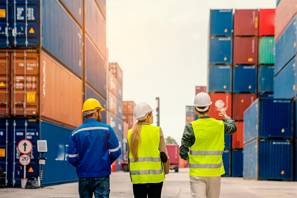 Growing Logistics Team